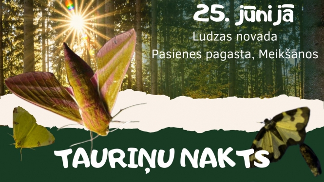 Iepazīsti tauriņu pasauli dabas liegumā „Grebļukalns”