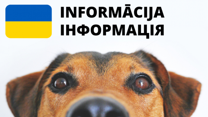 Ukraiņiem, kas ieceļojuši Latvijā ar mājdzīvnieku, jāvēršas pie veterinārārsta