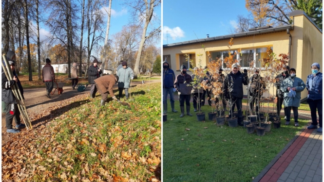 “Meža dienas” ietvaros labiekārto Pasienes muižas parku