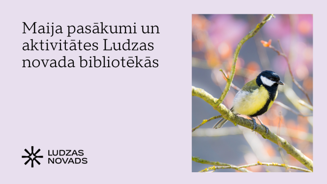 Publicitātes attēls