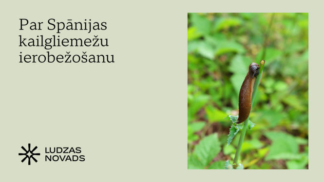 Par Spānijas kailgliemežu ierobežošanu