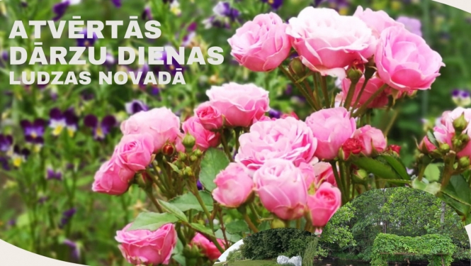 Atvērto dārzu dienas 20. un 21. augustā