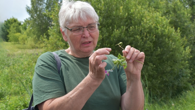 Izglītojoši izklaidējošā pasākuma “Bioloģiskā daudzveidība un kā veicināt tās saglabāšanu” aktivitātes