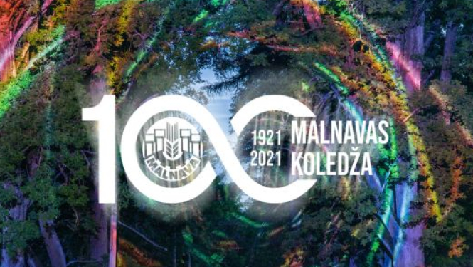Gaisma virmos Malnavā