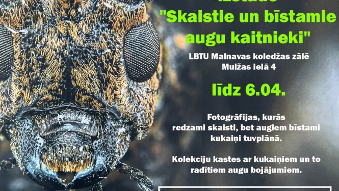 Pasākuma afiša