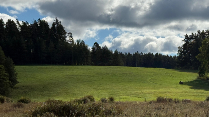 Lauksaimnieki no 14. aprīļa varēs pieteikties platību maksājumiem