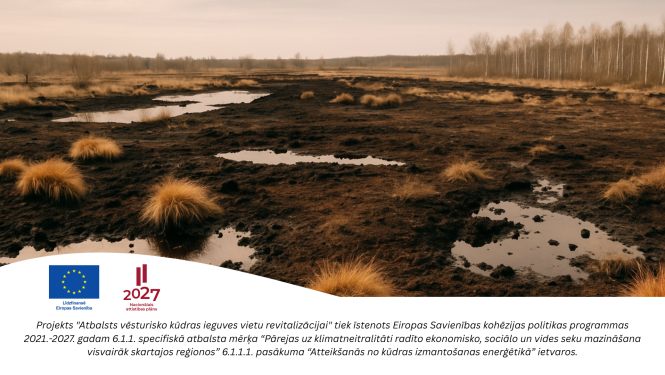 Raksta vizuālis