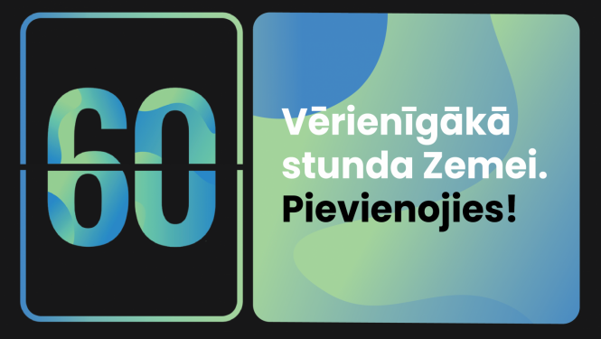 Projekta aktivitātes
