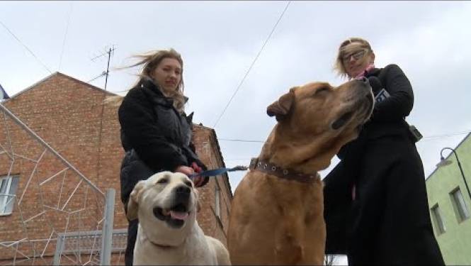 Bēgļu gaitās no Ukrainas – kopā ar mīļdzīvniekiem