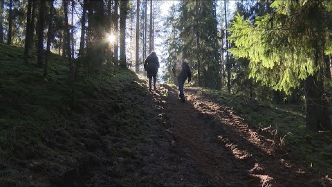 Olimpisko pārgājienu maršruti Latvijas valsts mežos