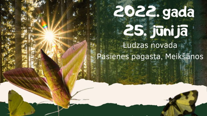 Iepazīsti tauriņu pasauli dabas liegumā „Grebļukalns”
