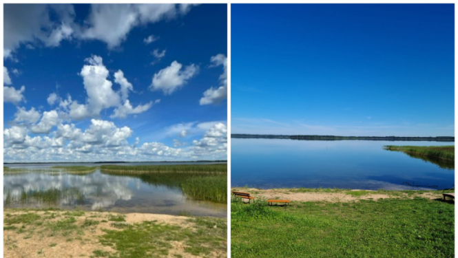 Atpūtas zonās un krastmalās tiek veikta niedru pļaušana