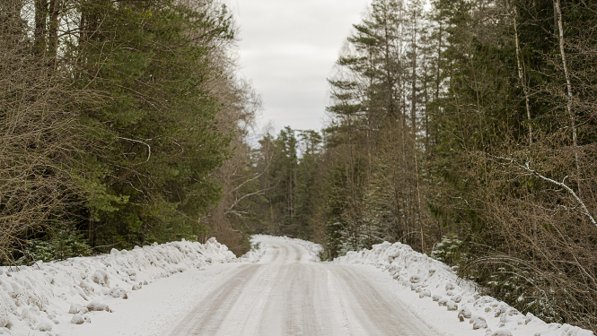 VSIA "Latvijas Valsts ceļi" publicitātes attēls