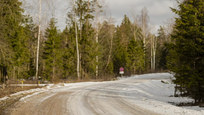 Pavasara šķīdonis