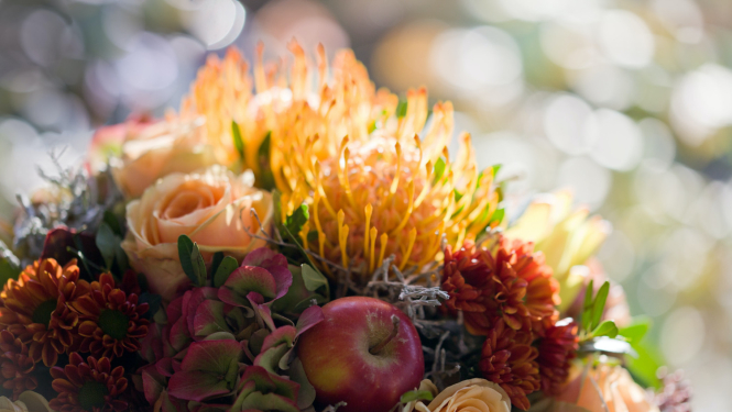 Zinību dienas norises Ludzas novada izglītības iestādēs