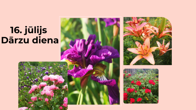 Apciemo Ludzas novada dārzus un to saimniekus!