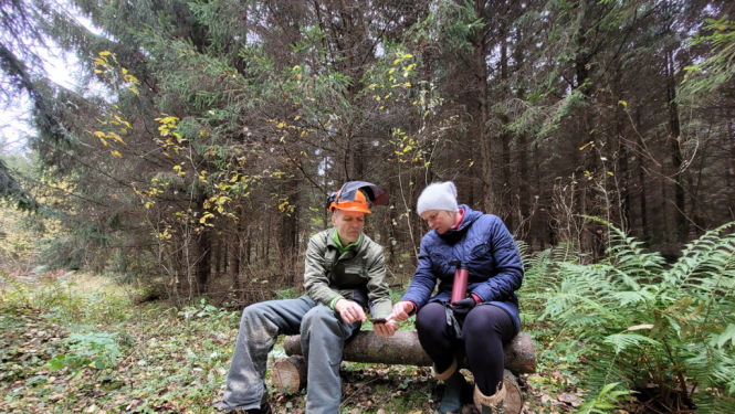Labiekārto Filandmuižas Zilā akmens dabas taku