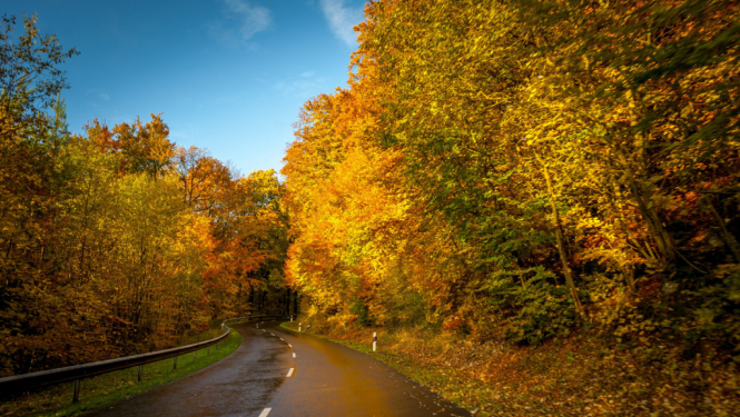 Autovadītāju ievērībai: brīvdienās braukšanas apstākļus var apgrūtināt stiprā vēja radītie postījumi un nokrišņi; 27 ceļu posmos vēl turpinās būvdarbi