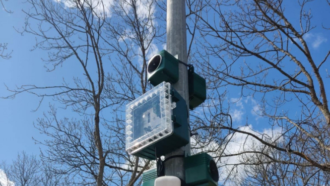 Ludzas pilsētas parkā uzstādīts digitālais putnu atbaidītājs