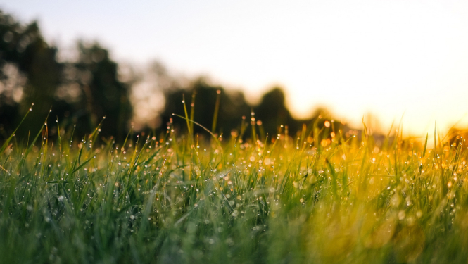 LLKC Ludzas konsultāciju birojs aicina uz bezmaksas mācībām