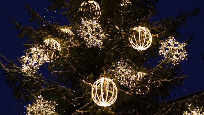 Jaungada apsveikums - Ludzas novada domes priekšsēdētāja Edgara Mekša svētku uzruna novada iedzīvotājiem