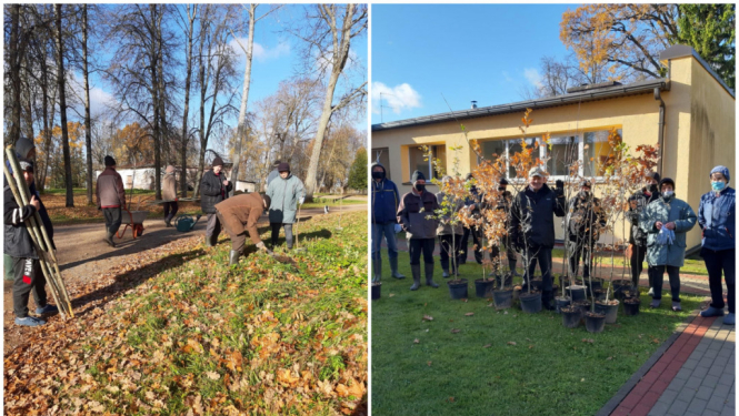 “Meža dienas” ietvaros labiekārto Pasienes muižas parku