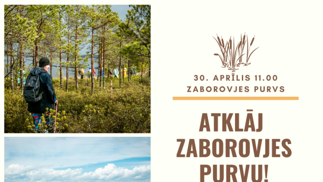 Pārgājiens “Atklāj Zaborovjes purvu!” 30.aprīlī