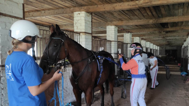 Rikšotāju zirgu sacensību “Latgales kauss” šogad paliek Ludzas novadā