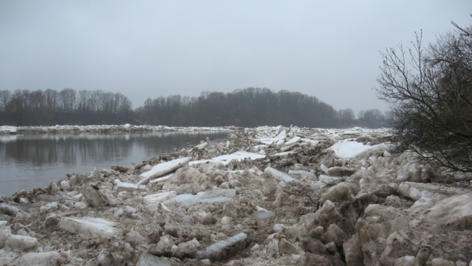 Pavasara pali. Mežotne, 2007. gads
