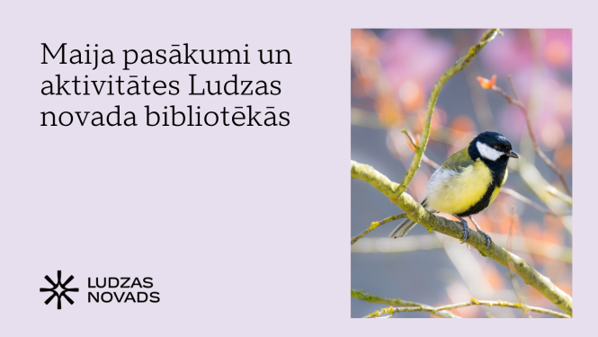 Publicitātes attēls