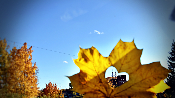 Ilustratīvs attēls