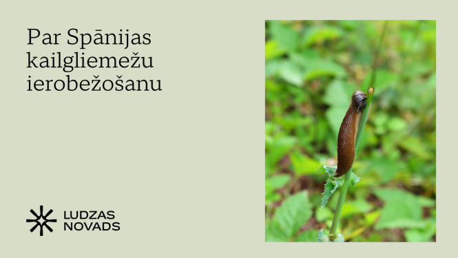 Par Spānijas kailgliemežu ierobežošanu