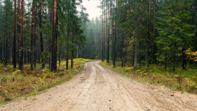 Šķīdoņa dēļ ievieš transporta masas ierobežojumus uz vairākiem pagastu ceļiem