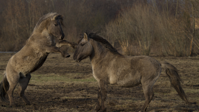Jura dīna Ludzas novadā!