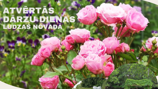 Atvērto dārzu dienas 20. un 21. augustā