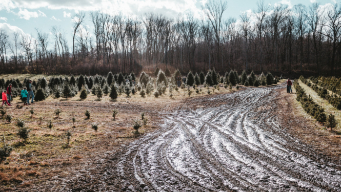 Par satiksmes ierobežošanu Lauderu pagastā
