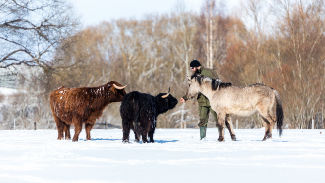 Ģimenes akcija “Izbaudi ziemu Ziemeļlatgalē”