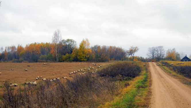 Izvērtēti prioritārie lauku ceļi Ludzas novadā