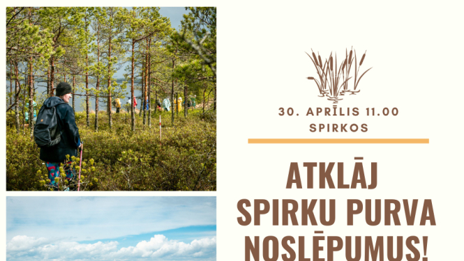 ATCELTS | Pārgājiens “Atklāj Spirku purva noslēpumus!” 30.aprīlī