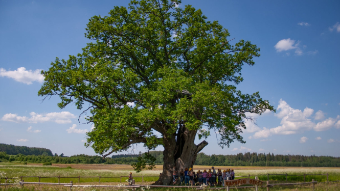 Ilustratīvs attēls