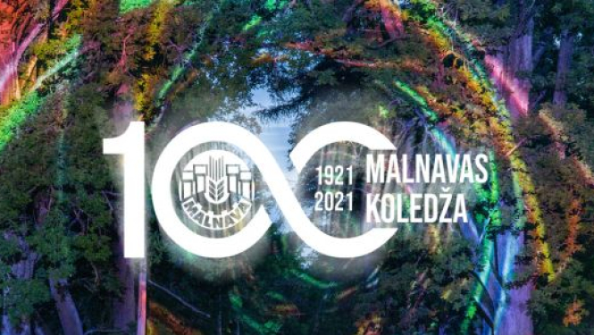 Gaisma virmos Malnavā