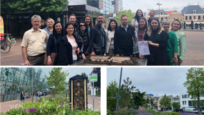 Projekta aktivitātes