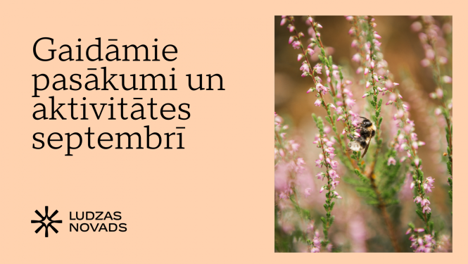 Ilustratīvs attēls