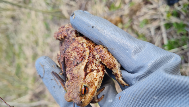 Ilustratīvs attēls