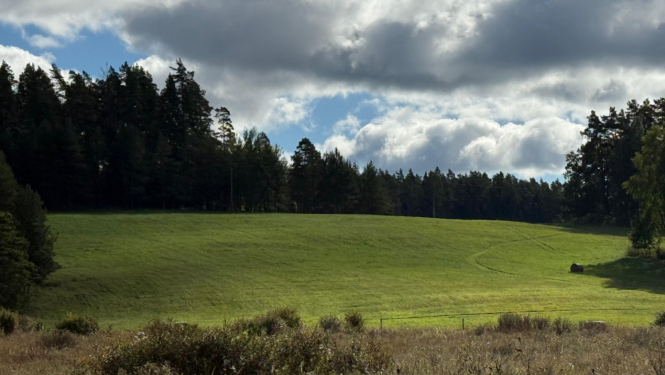 Lauksaimnieki no 14. aprīļa varēs pieteikties platību maksājumiem