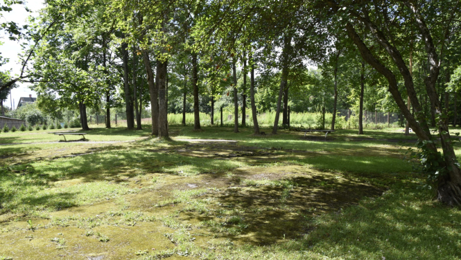 Vietā, kur kādreiz ļoti sen darbojās karuseļi, bet tagad viss ir aizaudzis ar sūnām, tiks izveidots laukums ar figūrām, “klasītēm”, tāfeli un soliem.