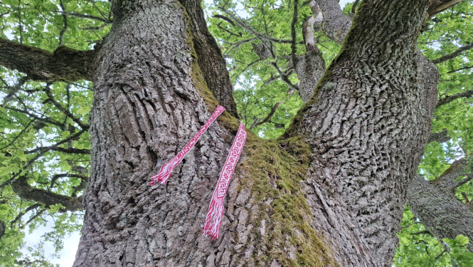 Publicitātes attēls