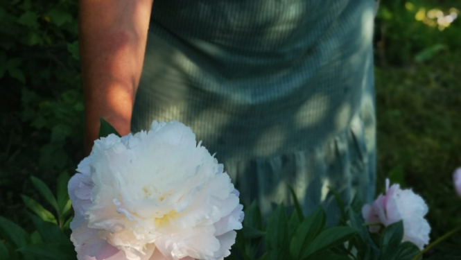 Ilustratīvs attēls