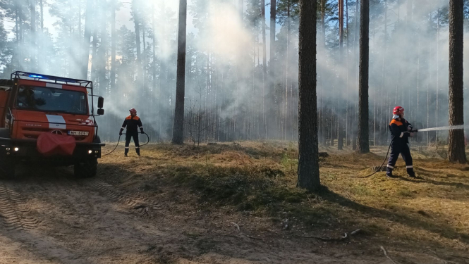 Vizuālis - Meža ugunsnedrošais laikposms sākas 1. maijā