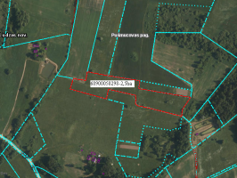 Zemes vienības Pušmucovas pagasta teritorijā ar kadastra apzīmējumu 6890 005 0298, platība 2,5 ha, izvietojuma shēma